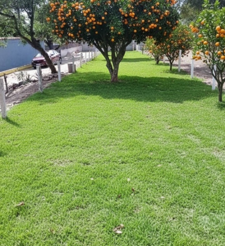 VENDO TRÊS LOTES NO PORTO DO CARRO EM SÃO PEDRO DA ALDEIA-RJ.